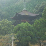 東京庵 - 瑠璃光寺が見えますよ