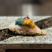 熟成鮨利他 難波 心斎橋 - 