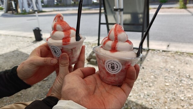 HIGASHIDA FARM STRAWBERRY