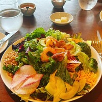 ユニオン スクエア トウキョウ - これで1人前の盛り盛りサラダ