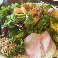 ユニオン スクエア トウキョウ - しェフズサラダS ¥2500