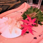 舞鶴 - つんつん漬け