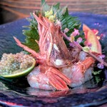 舞鶴 - ガス海老造り