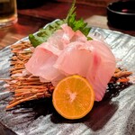 舞鶴 - クチジロ造り