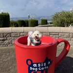 オアシスドッグカフェ - 