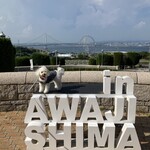 オアシスドッグカフェ - 