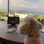 オアシスドッグカフェ - 明石海峡大橋が見えます