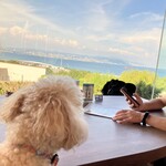 オアシスドッグカフェ - 