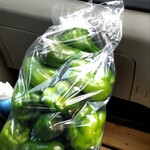 マルミ・サンライズ食堂 - 