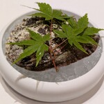 Stanza della SINCERITA - 