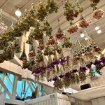 ペーパームーン - 