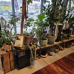 フラワーカフェ BLOOMY'S - 