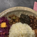 ポンニラペンspice - レッドキャベツ・マンゴー・コブミカン、小海老のスパイスオイル煮、イカ墨マサラのたまご、黒ひよこ豆・カカオ