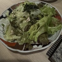 始祖鳥 - 