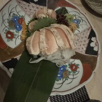 始祖鳥 - 