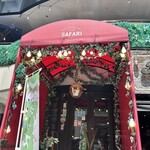 safari - 