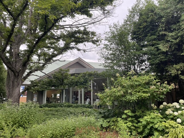 六花亭 ガーデン - 西帯広（ケーキ）の写真