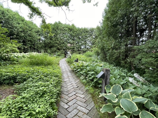 六花亭 ガーデン - 西帯広（ケーキ）の写真