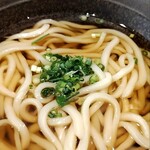 山下本気うどん - うどん