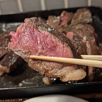アカミヤコウシ - 