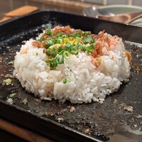 アカミヤコウシ - 