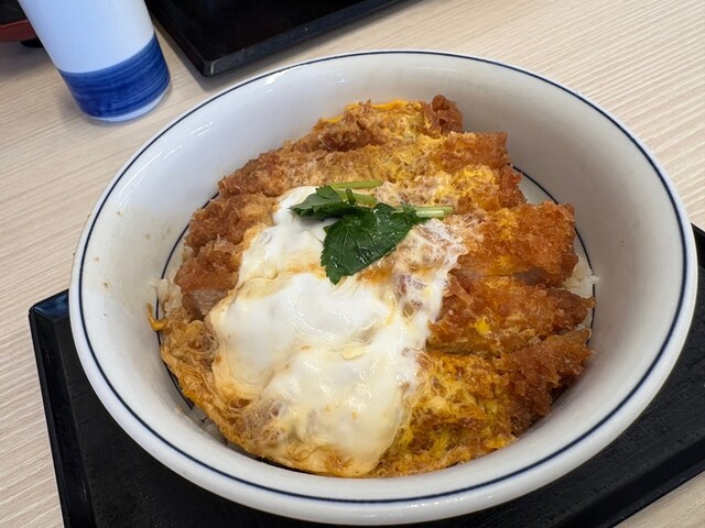 Katsuya Sapporo Shiroishi Ten