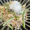 酒彩蕎麦 初代 恵比寿店