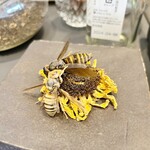 プレゼンテ スギ - 