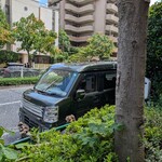 RAMEN MATSUI - 車の上に木の幹が落ちた模様。