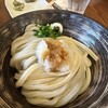 うどんうさぎ