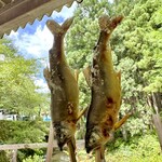 川魚センター - 