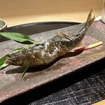新ばし 星野 - 