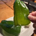 カルネジーオ イースト - 