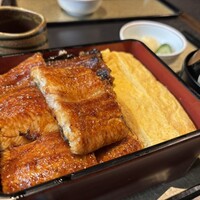 炭焼きうなぎ・かしわ 登河 - 