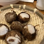 小半 - きぬかつぎ！最高かよ！