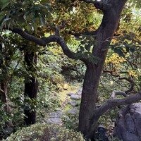 京味 もと井 - 
