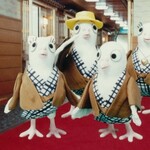 界 伊東 - ハトキャラ！