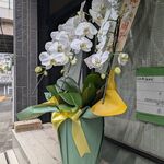 中華ソバ 伊吹 - 