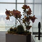 マンダリンオリエンタル 東京 - 