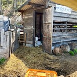 中沢工房 ヤギさんの家 - 