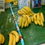 佐藤バナナ問屋本店 - 