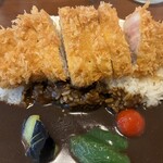 オカノカリー - 豚ロースカツカレー（ライス・ルー大盛）　近景