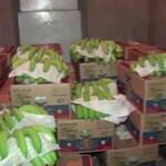 佐藤バナナ問屋本店 - 