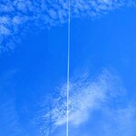 やきとり家 錦海まる - 「Contrails in the summer blue sky（夏の青空の飛行機雲）」② ※ナンカ、空が高くなり、秋が近づいてきた感じ…まだ、暑いですけど（笑）