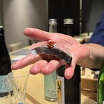 寿司と干物 井 - 