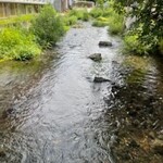 うなぎ いけだ - キレイ