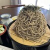味の小てんぐ - ざるそばサーチャージ盛り税込680円＋380円