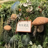Shangri-La’s secret 表参道店 - 