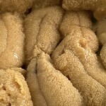 すし田 - キタムラサキウニ