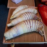 LAT.34°N by 蒼 - ☆淡竹＆孟宗竹☆